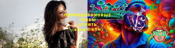 mdpv Алзамай