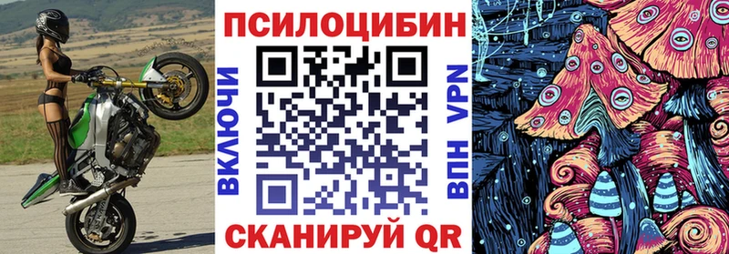 сколько стоит Нюрба Псилоцибиновые грибы GOLDEN TEACHER